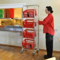Carrinho com freio para 4 contentores 410x585x1880 mm